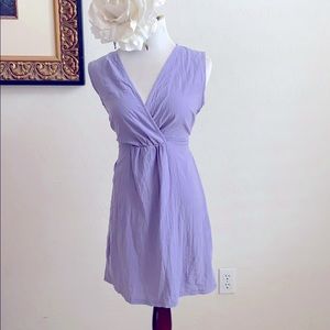 Little Blue Dress (Large)
